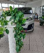 Autohaus Schniebs e. K. - GALLERY