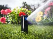 Automatic Garden - GALLERY