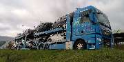 Autotransporte Neumann - GALLERY