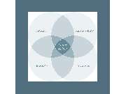 Auvide - Augenoptik für Erwachsene und Kinder - GALLERY