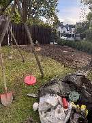 Ava Gebäudeservice - IMG_5810.JPG