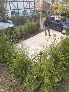 Ava Gebäudeservice - IMG_5816.JPG