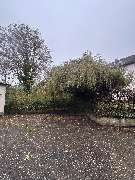 Ava Gebäudeservice - tempImageZN6nc0.jpg