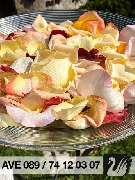 AVE Bestattungen München - 10