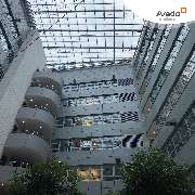 Avedo Berlin - GALLERY