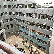 Avedo Berlin - GALLERY