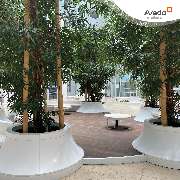 Avedo Berlin - GALLERY