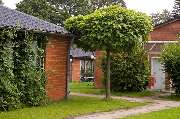 AWO-Theodor-Schwartz-Haus - Appartementhäuser mit Einzel- u. Doppelzimmern sowie Familienappartements mit Pantryküche und Du/WC