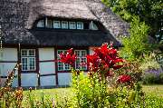 AWO-Theodor-Schwartz-Haus - Liegewiese unter alten Obstbäumen