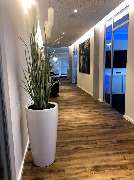 AXA Versicherung Hoppe & Waskewitz oHG in Rostock - Eingangsbereich - AXA Versicherung Hoppe & Waskewitz oHG- Kfz Versicherung in Rostock