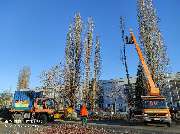 Axel Wuttke Gebäudeservice GmbH - 33
