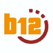 b12 AG - Informationstechnologie für Unternehmen - LOGO