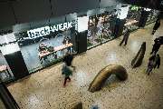 BackWerk - GALLERY