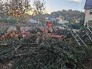 Badischer-Servicedienst - GALLERY