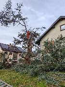 Badischer-Servicedienst - GALLERY