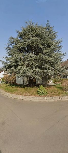 Badischer-Servicedienst - GALLERY