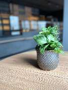 Bäckerei & Konditorei Jahn Inh. Ines Jahn - GALLERY