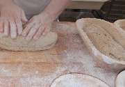 Bäckerei Morgenstern - GALLERY