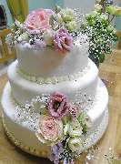 Bäckerei Plessow - GALLERY