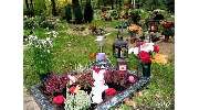 Bärolina Haustierbestattungen & Bärliner Tierfriedhof - 5