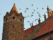 Bärwald und Zinn GmbH Dachdeckermeisterbetrieb - GALLERY