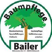 Bailer Baumpflege - 1