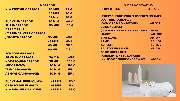 Balance by Tatsiana Oygur Massage, Sugaring & Waxing, Behandlung von unreiner Haut - GALLERY
