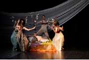 Ballett Muchka - GALLERY
