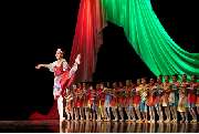 Ballett Muchka - GALLERY