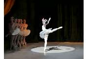 Ballett Muchka - GALLERY