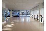 Ballett Muchka - GALLERY