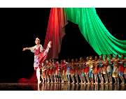 Ballett Muchka - GALLERY
