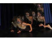 Ballett & Tanz Christine Heim - GALLERY