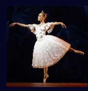 Ballettschule Doutreval - GALLERY