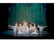 Ballettschule Groenendyk - GALLERY