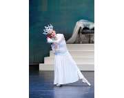 Ballettschule Groenendyk - GALLERY