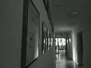Ballettschule ON POINT e.V. - GALLERY