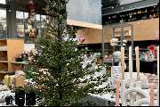 BALLONI Deko Shop - Balloni