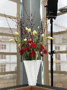 BALLONI Event I BALLONI Hallen Köln - BALLONI Event I BALLONI Hallen Eventlocation & Eventplanung Köln