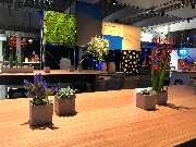 BALLONI Event I BALLONI Hallen Köln - BALLONI Event I BALLONI Hallen Eventlocation & Eventplanung Köln