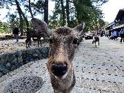 Baloni Bespoke Travel e. K. - GALLERY