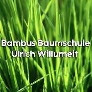 Bambus-Baumschule Ulrich Willumeit - LOGO