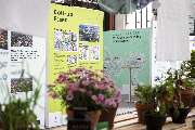 Bande für Gestaltung - Messestand der Städteregion Ruhr 2030 auf der Polis Convention. Farbige Informationstafeln in Grün- und Blautönen informieren über städtebauliche Projekte, während Pflanzen im Vordergrund für eine lebendige, nachhaltige Atmosphäre s
