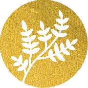 Bar Botanik - LOGO