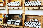 Barf Ranch Store - GALLERY