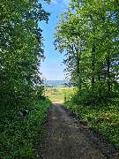 Barfuß wandern mit Jürgen - 2