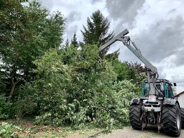 Barho Kommunal- und Landschaftspflege - 6