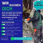 Barnett Haus- und Grundstückspflege - 8