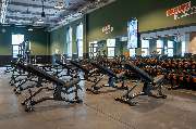 Basic-Fit - GALLERY