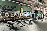 Basic-Fit - GALLERY